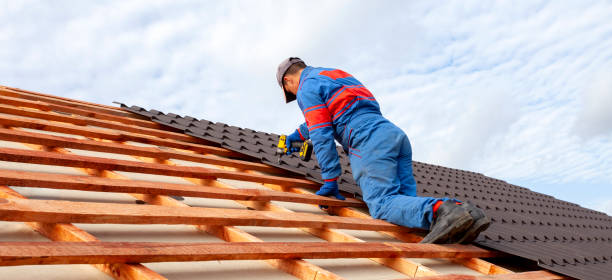 Best Skylight Installation and Repair  in North Ridgeville, OH